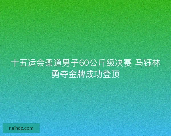 十五运会柔道男子60公斤级决赛 马钰林勇夺金牌成功登顶